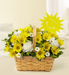 You are my Sunshine Flower Power, Florist Davenport FL
